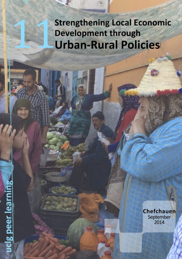 Cover PLN #11 - Strengthening Local Economic Development through Urban-Rural Policies