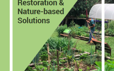 PLN #31 – Urban Ecosystem Restoration & Nature-based Solutions